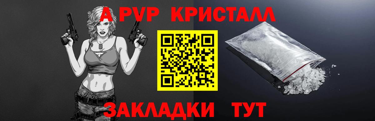 Alfa_PVP СК Вологда